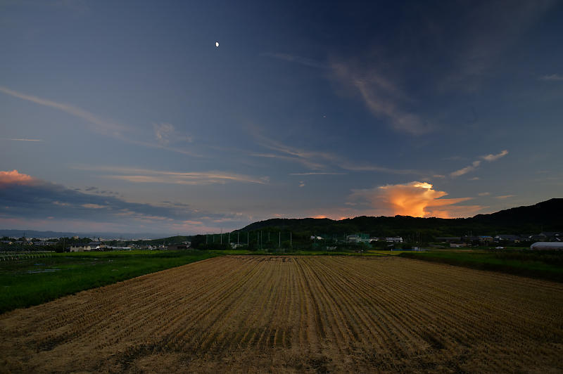 なんやかんや大原野 え!?今頃ひまわり大原野 其の二_f0032011_19472732.jpg