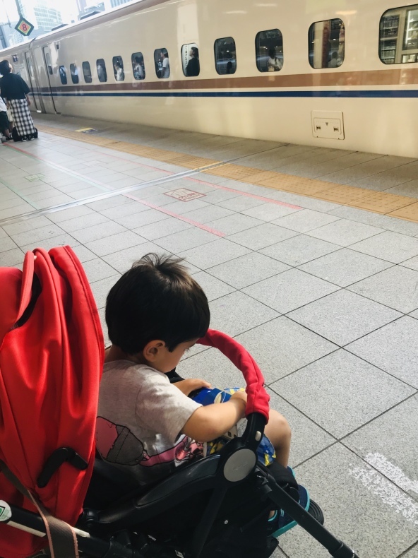 夏の東京に里帰り チサングランド長野に宿泊 タワーブリッジの麓より 夏の東京に里帰り チサングランド長野に宿泊 タワーブリッジの麓より