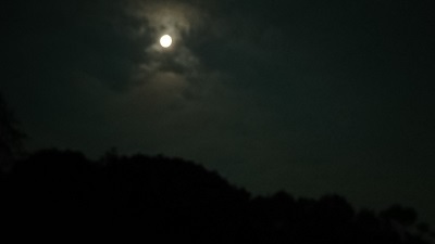 f0371014_00185523.jpg