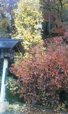 c0074721_16095016.jpg