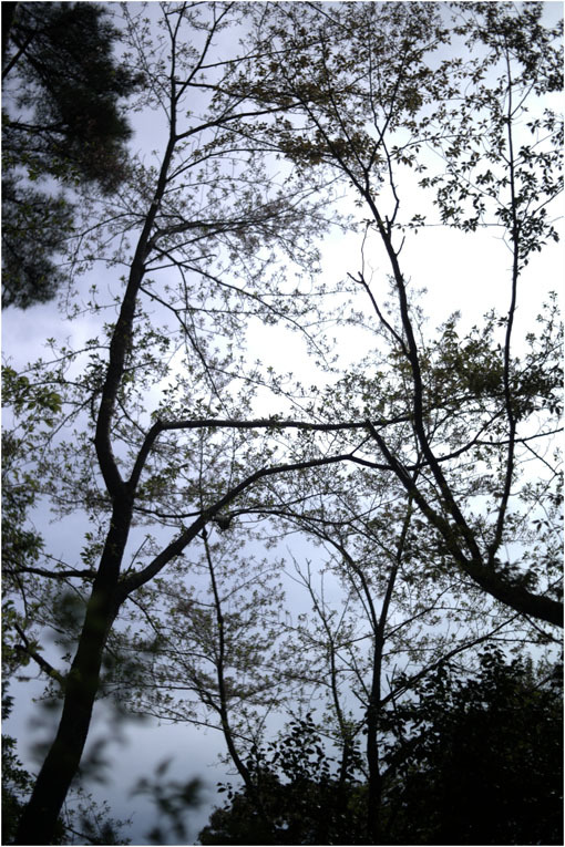 b0226423_10134841.jpg