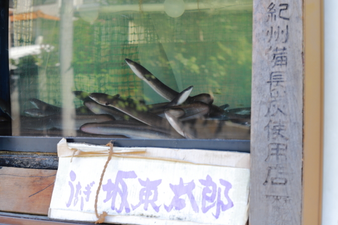 *新横浜*「御食事処 スズキ」_f0348831_19332850.jpg