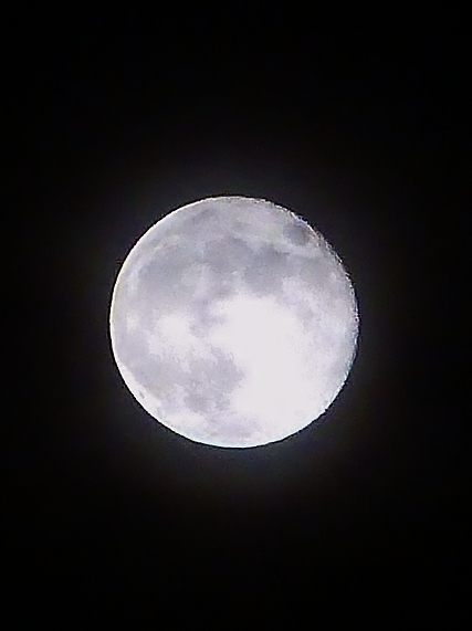 b0314043_08030192.jpg