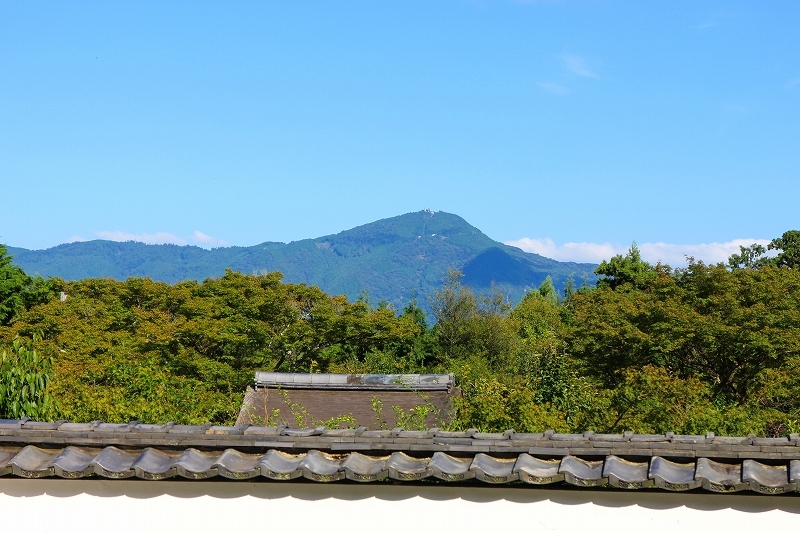 洛北の名刹「正伝寺」京都20190910_e0237645_21160753.jpg