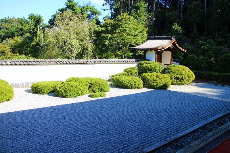 洛北の名刹「正伝寺」京都20190910_e0237645_21160874.jpg