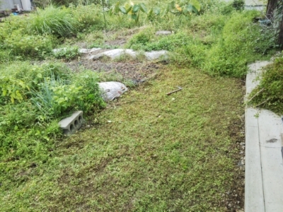 c0330749_17003461.jpg