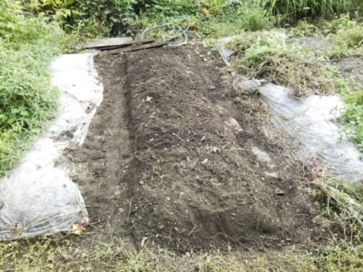 c0330749_17042743.jpg