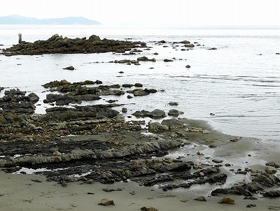 a0335853_23375416.jpg