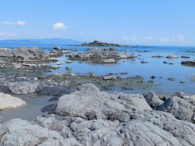 a0335853_23402658.jpg