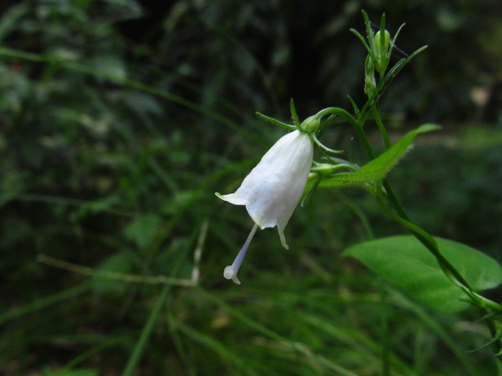 a0018655_08372890.jpg