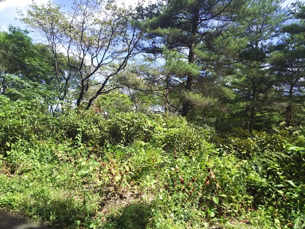 f0364455_22545124.jpg
