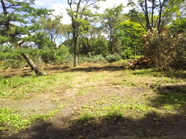 f0364455_23015740.jpg