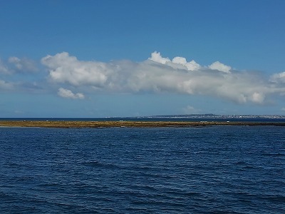 c0180460_19484030.jpg