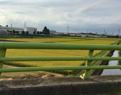 a0053063_17560497.jpeg