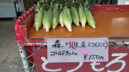 直売！_c0160368_11265104.jpg