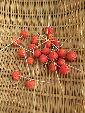 ヤマボウシの実でジャムを作ってみました あいやばばライフ