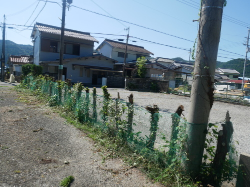 f0054677_06380468.jpg