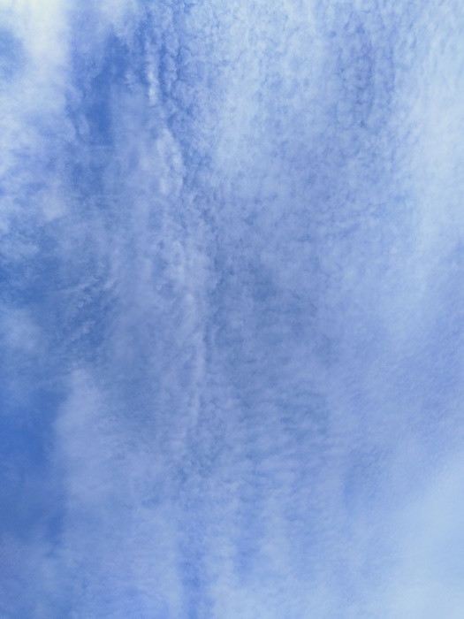 a0199979_18584442.jpg