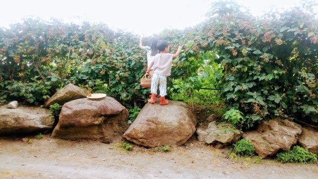 森のてしごと市 2019_a0283484_23023623.jpg