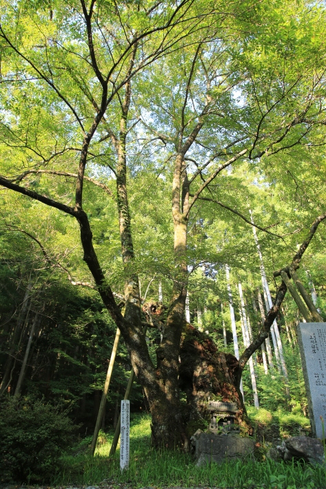 c0358784_19345829.jpg