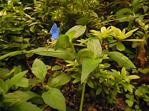 e0086885_11044131.jpg