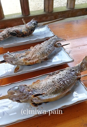 【栃木の夏休み2019②】二泊目は日光でキャンプ_e0197587_17131036.jpg