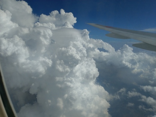 b0003089_16320385.jpg