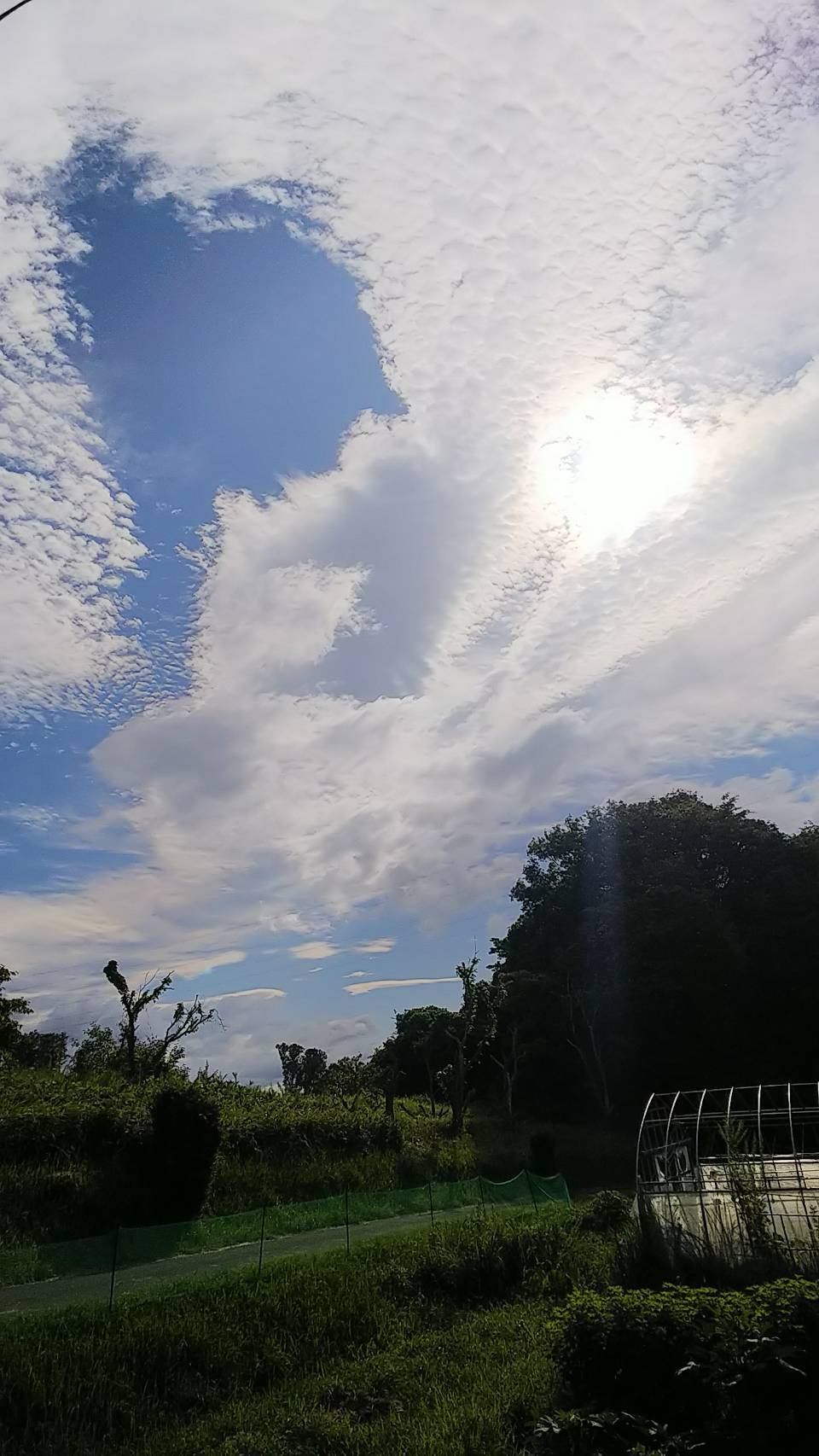 d0383596_14242408.jpg