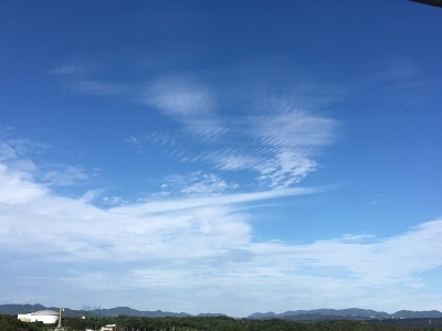 f0372998_20504460.jpg