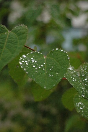 a0061599_07483475.jpg