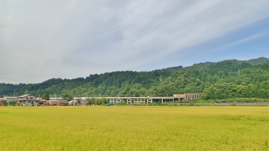 c0336902_17503404.jpg