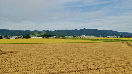 c0336902_17511116.jpg