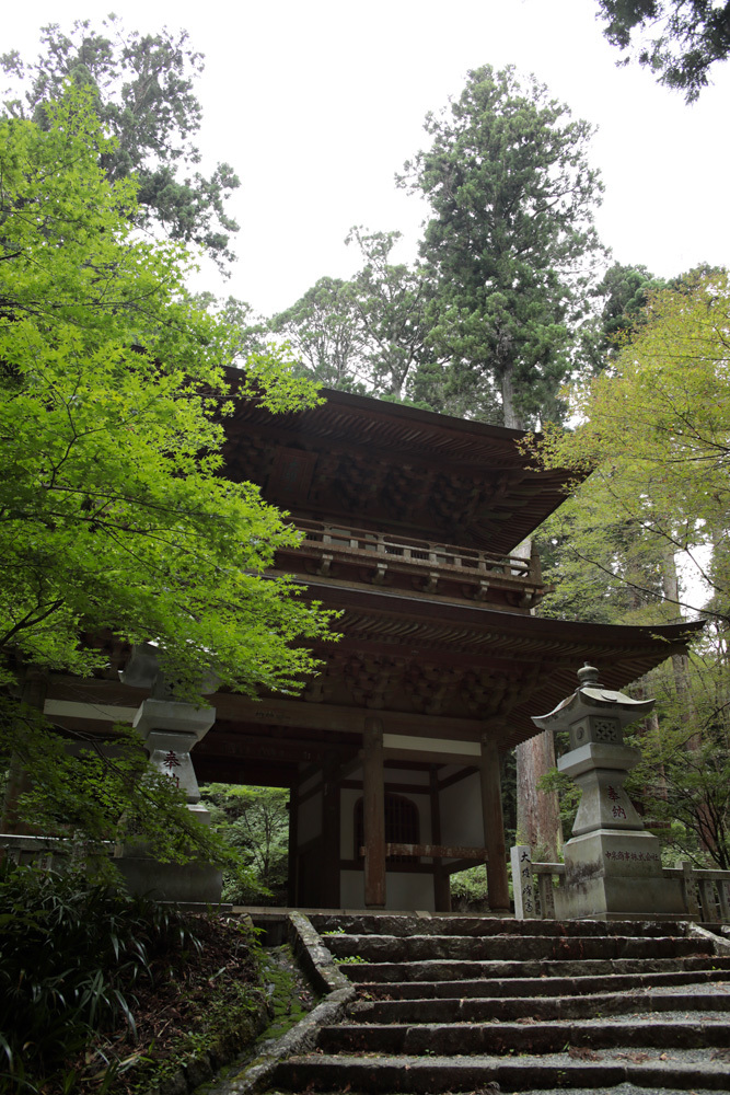 d0011713_13130000.jpg