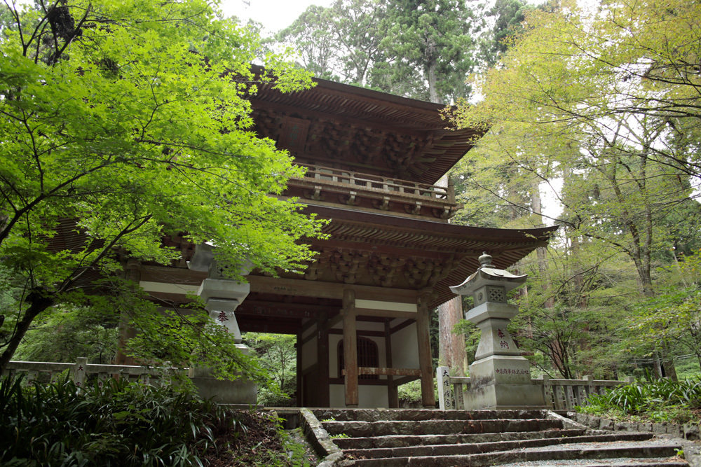 d0011713_13131718.jpg