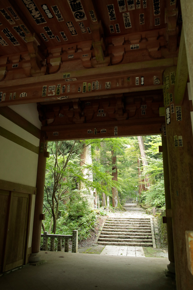 d0011713_13132897.jpg