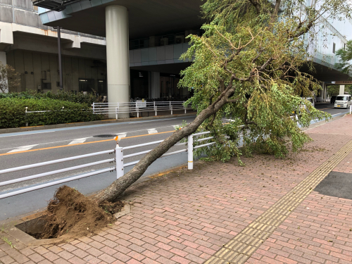 千葉みなと駅周辺の台風15号被害_d0342618_17192157.jpg