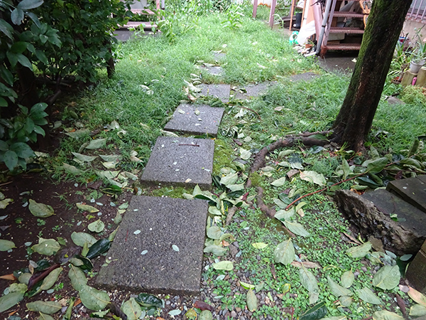 f0097523_17364713.jpg