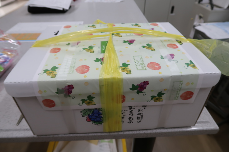 破天荒なアルシオーネ六気筒XT-6_f0076731_21275307.jpg