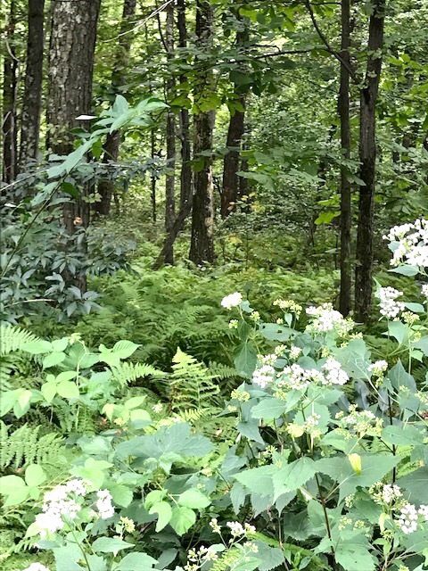 d0269832_03451384.jpeg