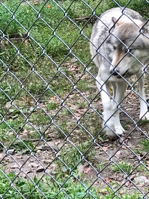 d0269832_03460335.jpeg