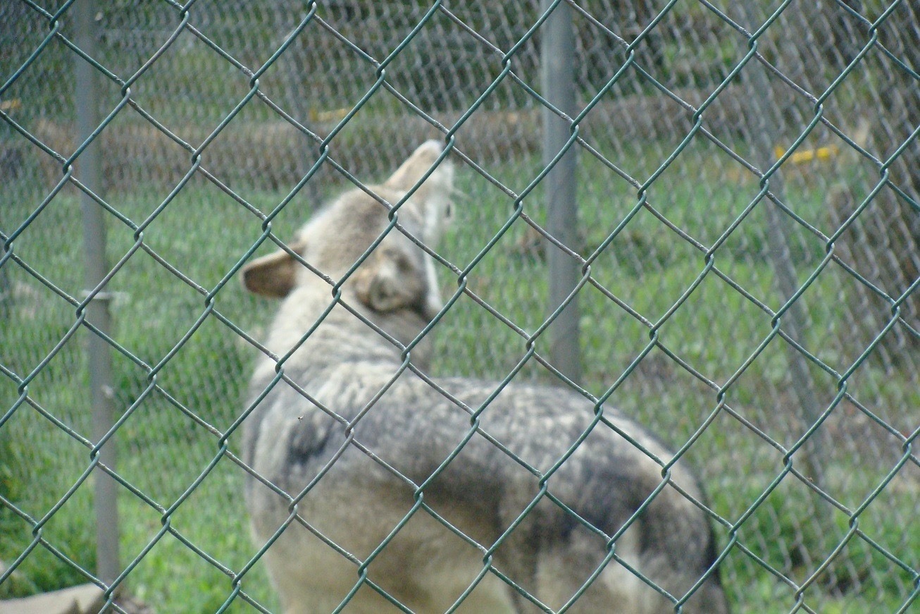 d0269832_03500702.jpeg