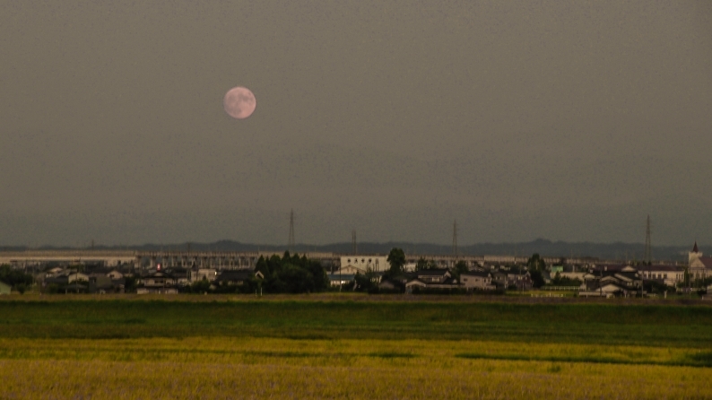 d0060435_23065549.jpg