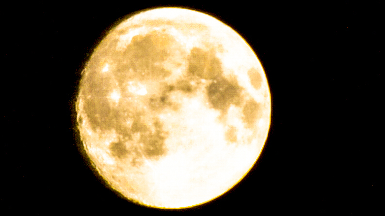 d0060435_23075882.jpg