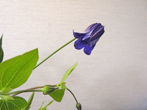 c0346840_22000790.jpg