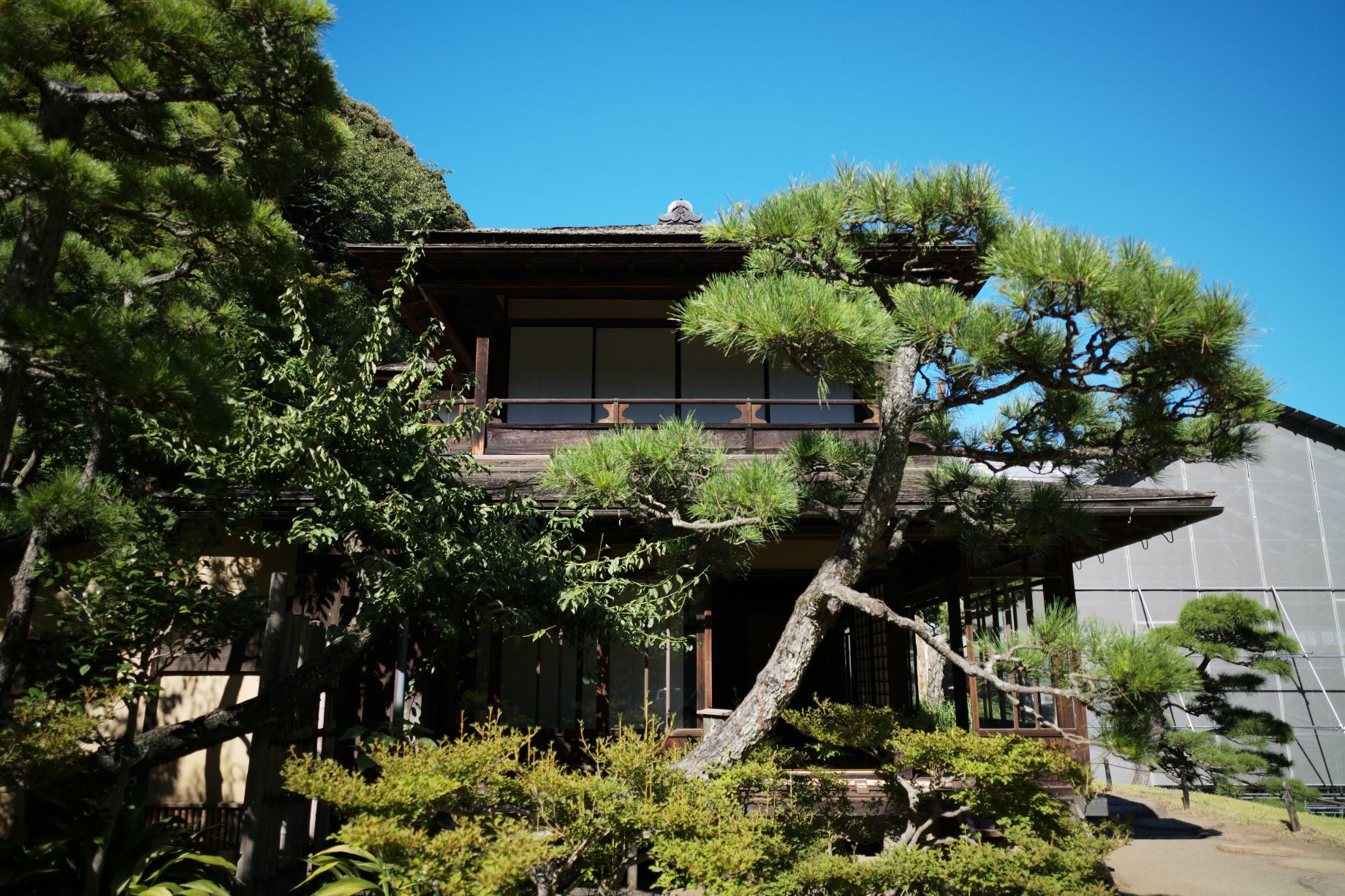 【重要文化財|臨春閣】(三溪園) _b0212342_06461811.jpg