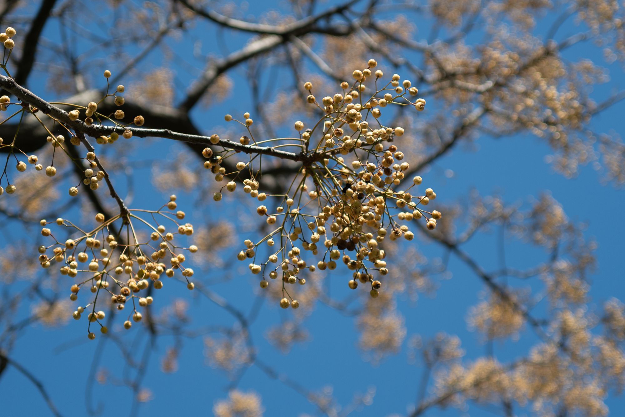 b0212342_21580291.jpg