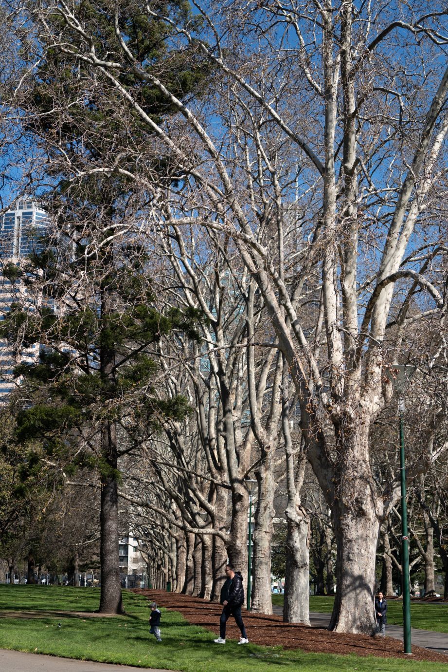 【世界遺産】　王立展示館とカールトン庭園　（オーストラリア）　行き方・見学のしかた_b0212342_21595745.jpg