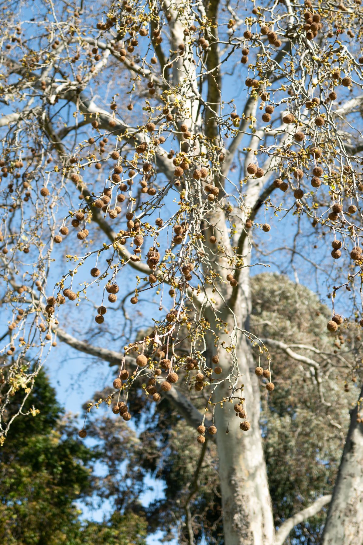 b0212342_22055899.jpg