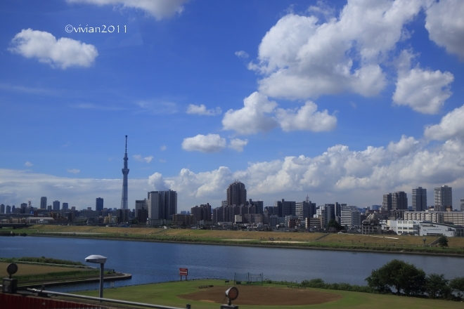 関東自動車　空港バス（マロニエ号）　～宇都宮から羽田空港へ～_e0227942_22545558.jpg