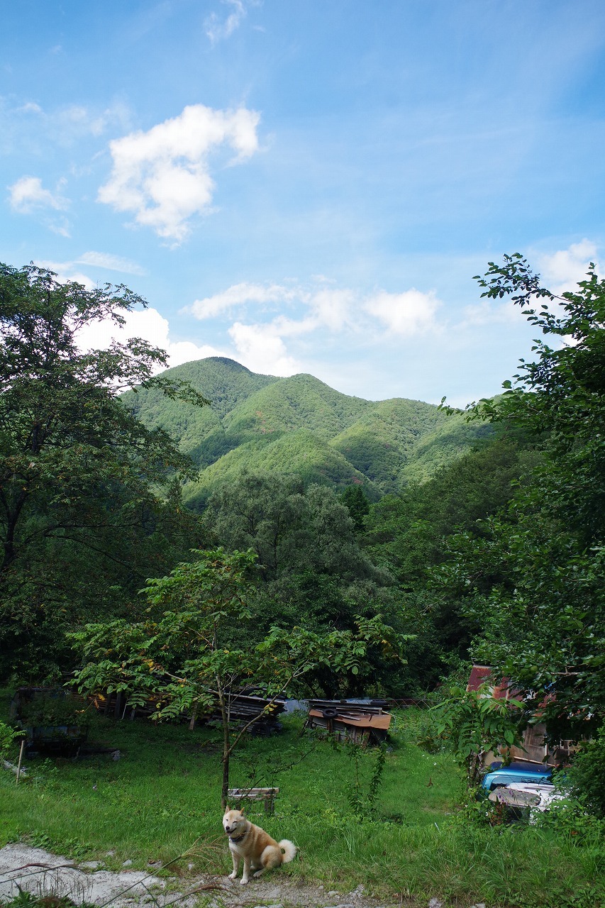 f0114346_07481050.jpg